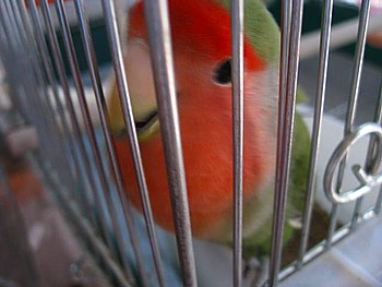 IMG_2633.JPG