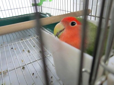 IMG_3416.JPG