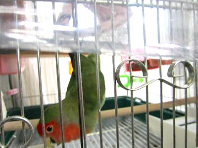 IMG_3411.JPG