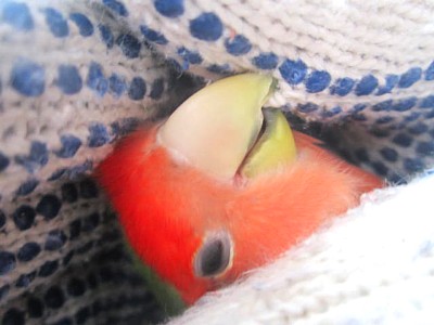 IMG_6384.JPG
