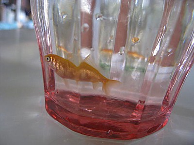 IMG_5330.JPG