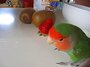 IMG_5194.JPG