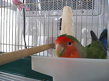 IMG_6309.JPG