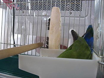 IMG_6310.JPG
