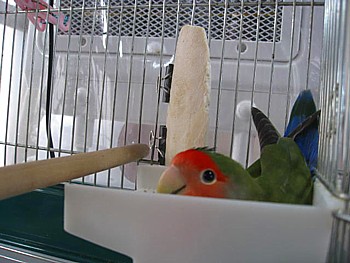 IMG_6311.JPG