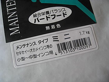 ラウディブッシュ4