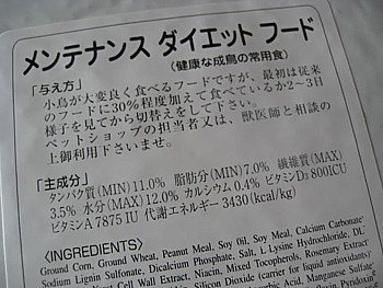 ラウディブッシュ5