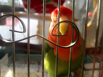 papi 008.JPG