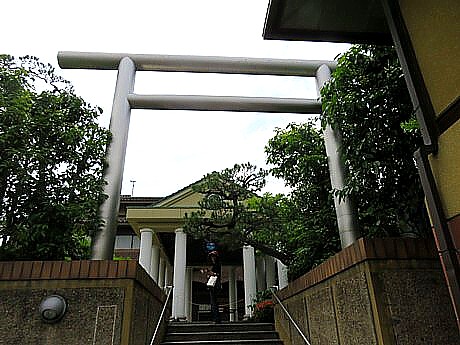 飛 (21).JPG