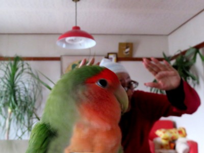 パピネン殿下
