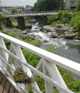 ブルーサンタ裾野