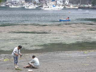 沼津 海