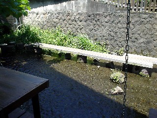 蛍 ほたる