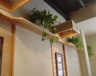 どんぼーのがい