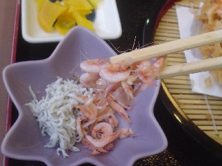 しらす 白す シラス