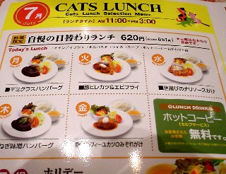パスタ ピザ ピッツァ 日替わりランチ 日替りランチ