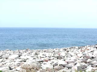 海岸