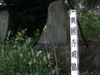 興国寺城