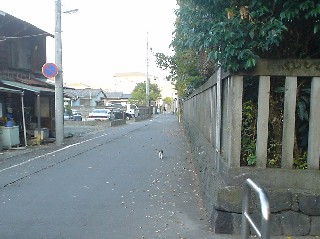 三島市大宮町 三嶋大社 福太郎本舗 福の種蒔く よもぎ 福餅 モチ