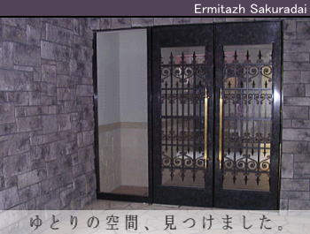 ゆったり・豪華! 桜台の新築物件!