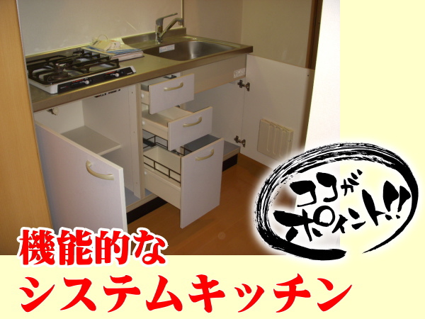 ラフィーヌ溝の口 ポイント