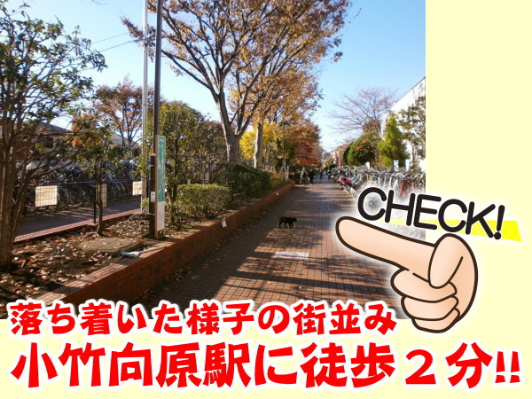 グランジュテ小竹向原 ポイント