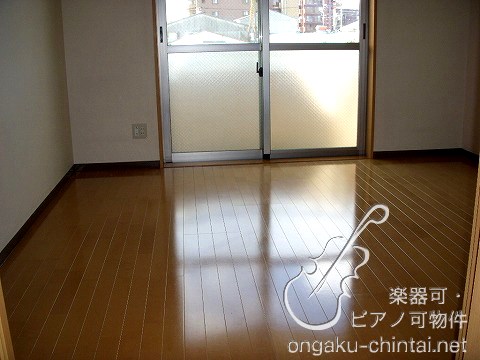 ラフィーネ溝の口 室内