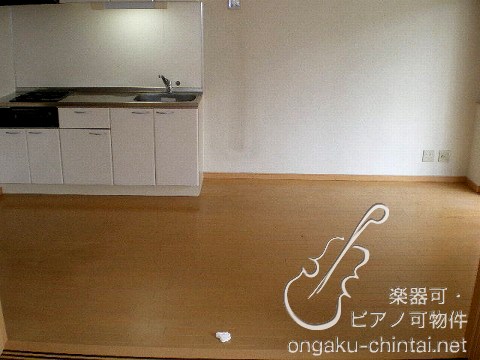 アップルヴィレッジ2DK 室内