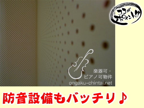アンソレイユ宮前平 ポイント