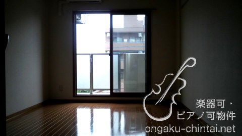 ブリランテ武蔵中原 室内02