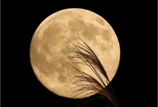 20130919_395114.jpg