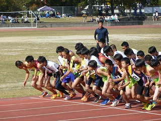 P1020959.jpg