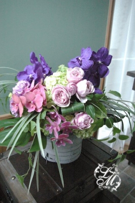 IMGP0715.jpg