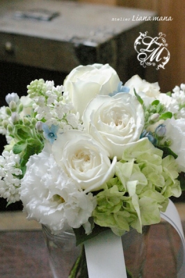 IMGP1178.jpg