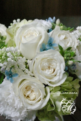IMGP1188.jpg