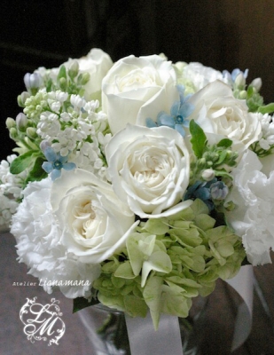 IMGP1189.jpg