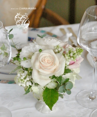 IMGP1196.jpg
