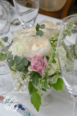 IMGP1198.jpg