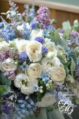 IMGP1240.jpg
