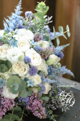 IMGP1253.jpg