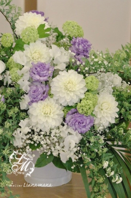 IMGP1377.jpg