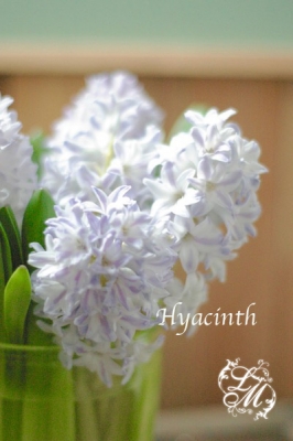 IMGP1040.jpg