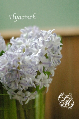 IMGP1043.jpg