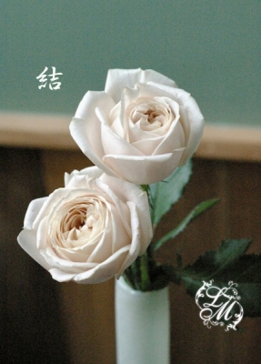 IMGP1075.jpg