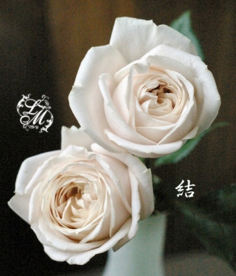 IMGP1077.jpg