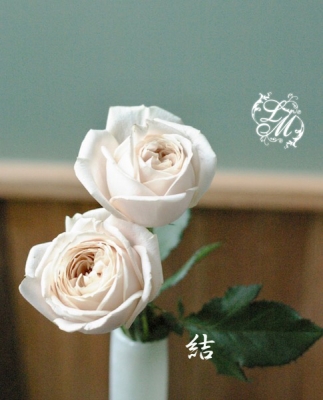 IMGP1083.jpg