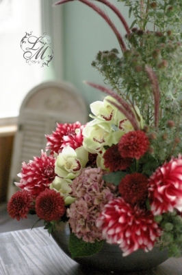 IMGP2803.jpg