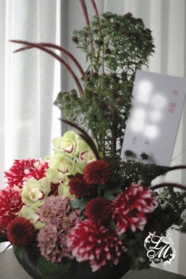 IMGP2828.jpg