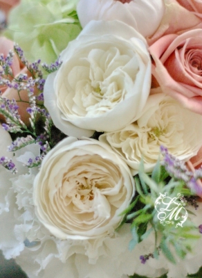 IMGP2838.jpg