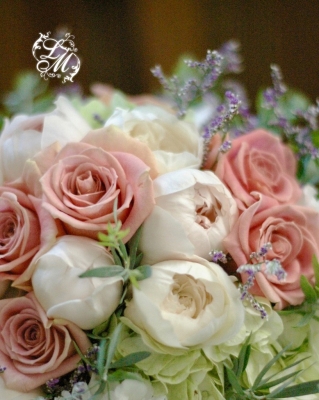 IMGP2840.jpg